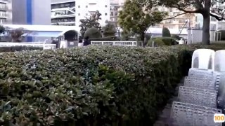 台灣理專遇上色狼司機